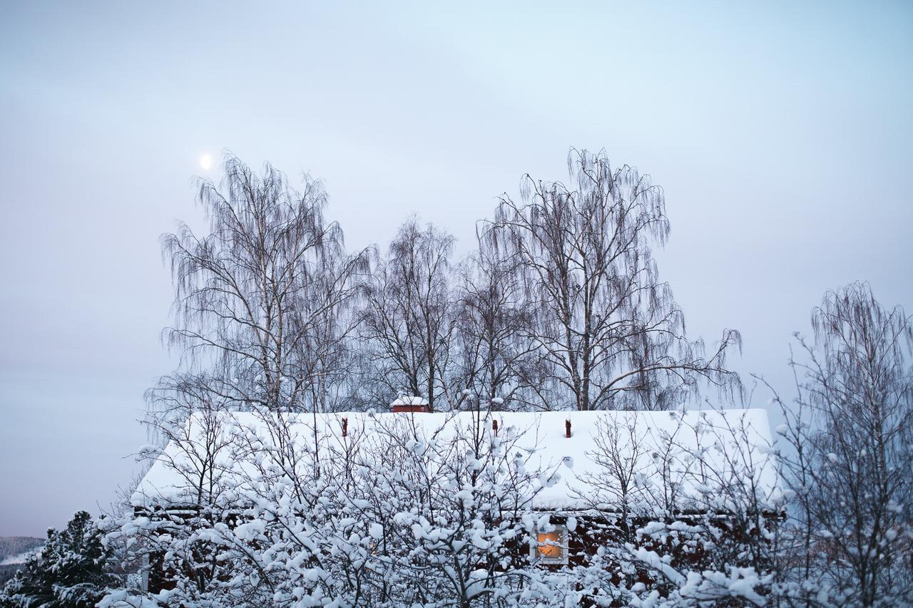 Helsingegarden Hostel Jarvso Exterior photo